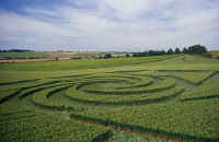 Cherhill, Wiltshire crop circle, aerial photo 6