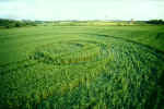 Compton Dando, Somerset crop circle, aerial photo 5