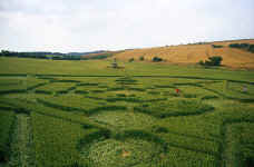 Devils Den, Wiltshire crop circle, aerial photo 6