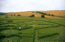 Devils Den, Wiltshire crop circle, aerial photo 7