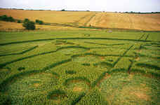 Devils Den, Wiltshire crop circle, aerial photo 8