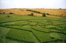 Devils Den, Wiltshire crop circle, aerial photo 9