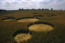 East Kennett, Wiltshire crop circle, aerial photo 5