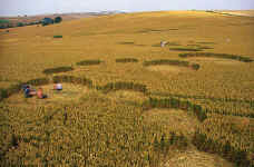 East Kennett, Wiltshire crop circle, aerial photo 7