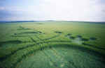 East Field (1), Wiltshire crop circle, aerial photo 6