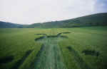 East Field (1), Wiltshire crop circle, aerial photo 8