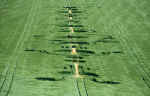 East Field (1), Wiltshire crop circle, aerial photo 9