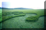 East Field (1), Wiltshire crop circle, aerial photo 18