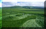 East Field (1), Wiltshire crop circle, aerial photo 19