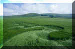 East Field (1), Wiltshire crop circle, aerial photo 20