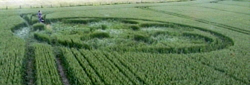 Figheldean, Wiltshire crop circle, aerial photo 2