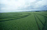 Hackpen Hill, Wiltshire crop circle, aerial photo 3
