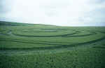 Hackpen Hill, Wiltshire crop circle, aerial photo 4