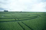 Hackpen Hill, Wiltshire crop circle, aerial photo 5