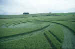 Hackpen Hill, Wiltshire crop circle, aerial photo 7