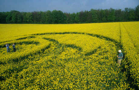 Henwood, Hampshire crop circle from the air
