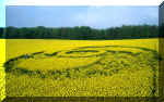 Henwood, Hampshire crop circle, aerial photo 3