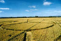 Honey Street, Wiltshire crop circle, aerial photo 4