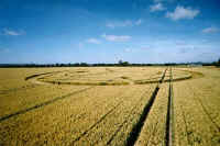 Honey Street, Wiltshire crop circle, aerial photo 5