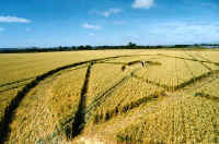 Honey Street, Wiltshire crop circle, aerial photo 7