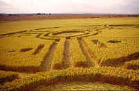 Sugar Hill, Wiltshire crop circle, aerial photo 5