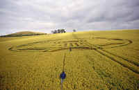 Sugar Hill, Wiltshire crop circle, aerial photo 6