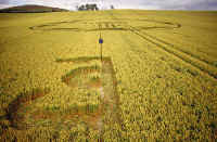 Sugar Hill, Wiltshire crop circle, aerial photo 7