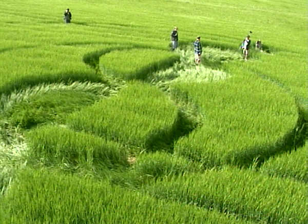 Furze Hill, Wiltshire crop circle, aerial photo 2