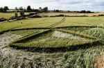 Marksbury, Somerset crop circle, aerial photo 3