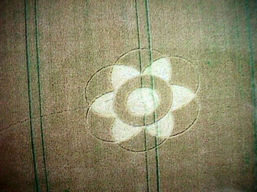 Micheldever, Hampshire crop circle, aerial photo 2