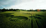 Newton St Loe (2), Somerset crop circle, aerial photo 4