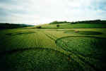 Newton St Loe (2), Somerset crop circle, aerial photo 5
