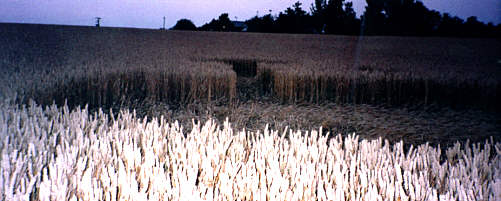 Oakley (1), Bedfordshire crop circle, aerial photo 4