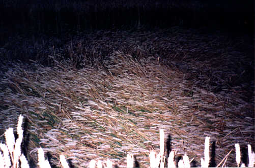 Oakley (1), Bedfordshire crop circle, aerial photo 6