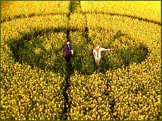 Over Wallop, Hampshire crop circle, aerial photo 3