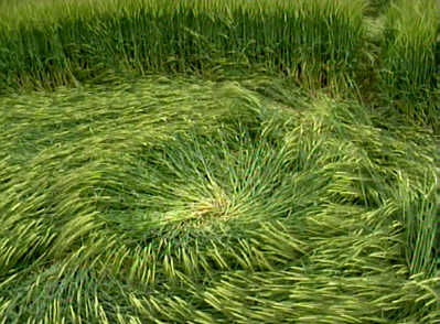 Penton Grafton, Hampshire crop circle, aerial photo 5