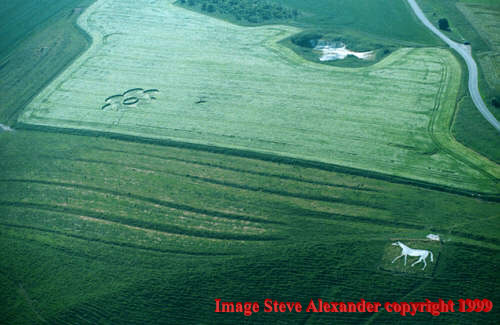 Pewsey White Horse, Wiltshire crop circle, aerial photo 2