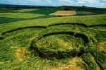 Pewsey White Horse, Wiltshire crop circle, aerial photo 3