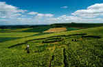 Pewsey White Horse, Wiltshire crop circle, aerial photo 5