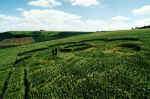 Pewsey White Horse, Wiltshire crop circle, aerial photo 6