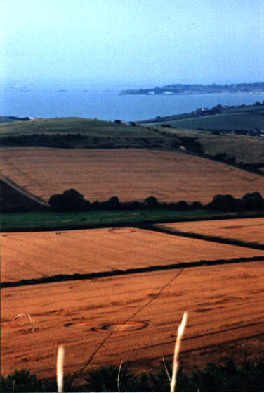 Preston, Dorset crop circle, aerial photo 2