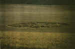 Roundway Hill, Wiltshire crop circle, aerial photo 15