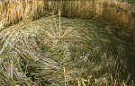 Roundway Hill, Wiltshire crop circle, aerial photo 21