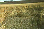 Roundway Hill, Wiltshire crop circle, aerial photo 22