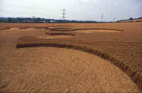 Roundway Hill, Wiltshire crop circle, aerial photo 3