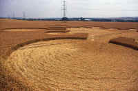 Roundway Hill, Wiltshire crop circle, aerial photo 5