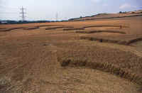 Roundway Hill, Wiltshire crop circle, aerial photo 6