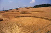 Roundway Hill, Wiltshire crop circle, aerial photo 7