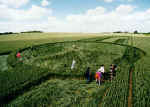 Silbury Hill, Wiltshire crop circle, aerial photo 6