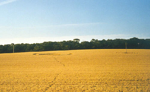 Wimpole Hall, Cambridgeshire crop circle, aerial photo 4